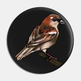 House Sparrow Pin