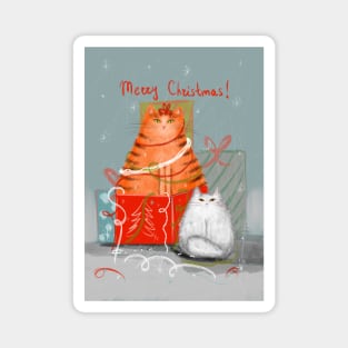 Merry Christmas greeting winter card with cute fluffy cats in red Santa hats and scarves. Magnet