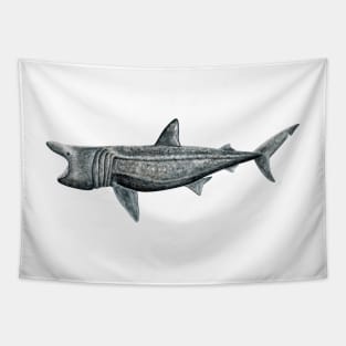 Basking shark Tapestry