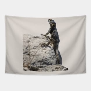 Lizard Sunbathing On A Rock Vector Tapestry