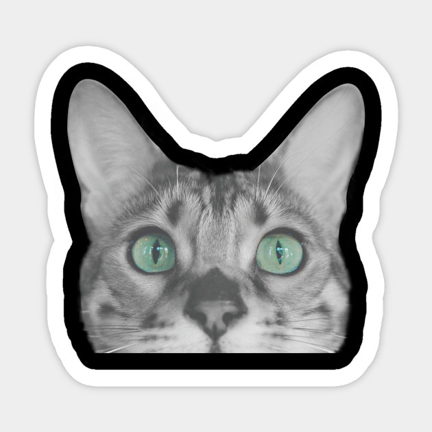 Crazy Reallife Cat Head With Green Eyes Cat Sticker Teepublic