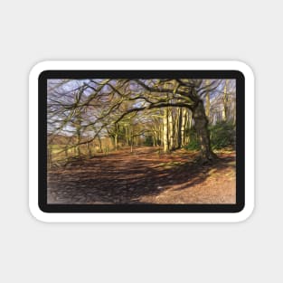 Sunny Winter Woodland  Digital Art Magnet