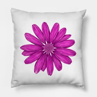 fuchsia color Pillow