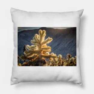 Glowing Cholla Cactus Pillow