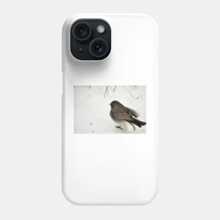 Winter Snow Bird 4 Phone Case