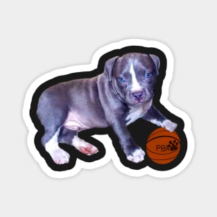 Blue line pit bull dog basket ball player- cute pitbull in the with it’s pitbull basketball association ball Magnet