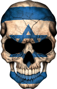 Israeli Flag Skull Magnet