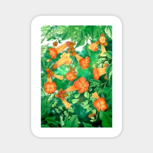 Minhwa: Summer Trumpet Creeper Magnet