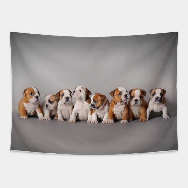 Eight Bulldog puppies Tapestry by PetsArt