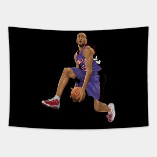 Vince Carter Toronto Raptors Tapestry