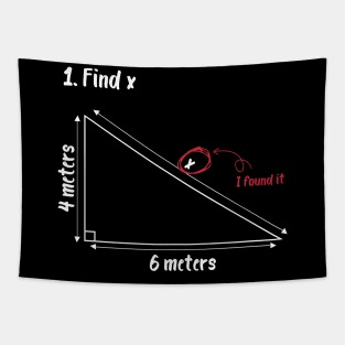 find x i found it Funny Math Tapestry