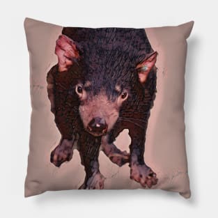 Tasmanian devil Pillow