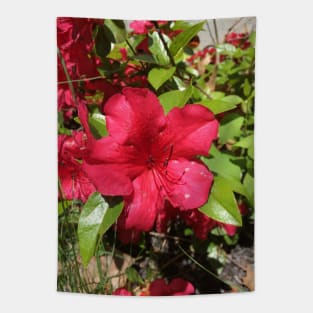 Red Azalea Tapestry