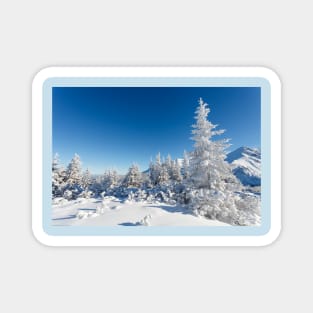 Winter mountain forest landscape, Tatry Mountains Magnet