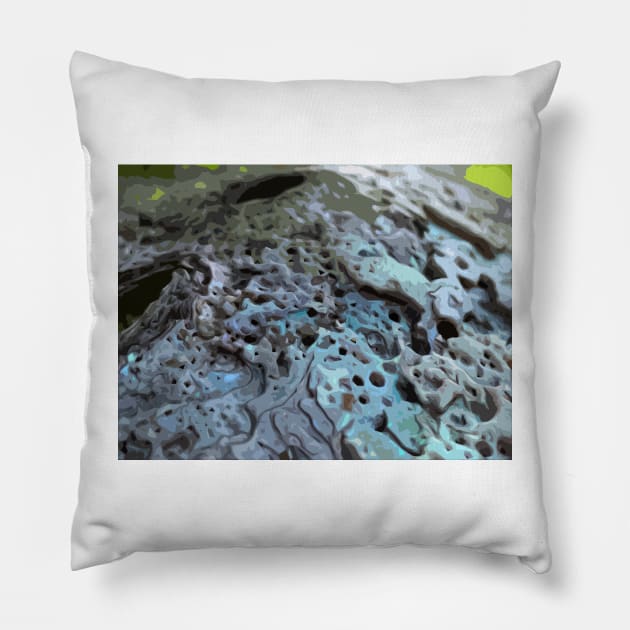 Abalone Shell Pillow by ElisabethFriday