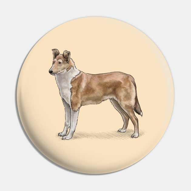 The Sable Smooth Collie Dog Pin by Elspeth Rose Design