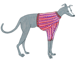 Greyhound In A Sweater Magnet