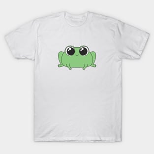 Cute Snuggle Frog Kawaii Aesthetic Frog Women's T-Shirt