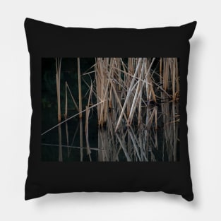 Reflection Pillow