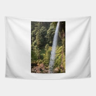 North Falls D Tapestry