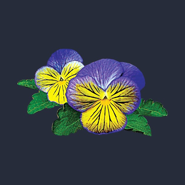 Pansies - Shy Little Pansy by SusanSavad