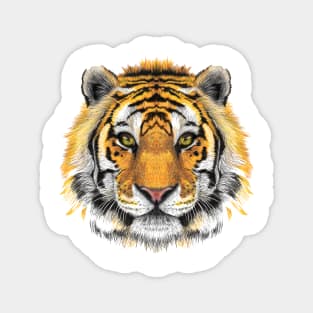 Tiger Two Face Magnet