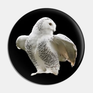 Snow owl Pin