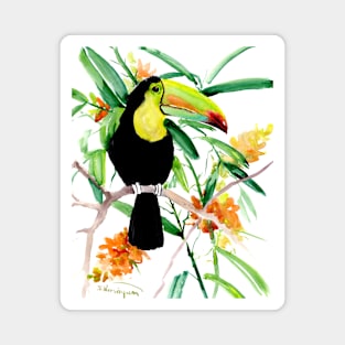 Toucan in Jungle Magnet