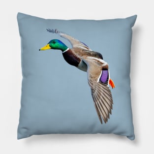 Mallard Landing Pillow