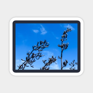 flax seed heads Magnet