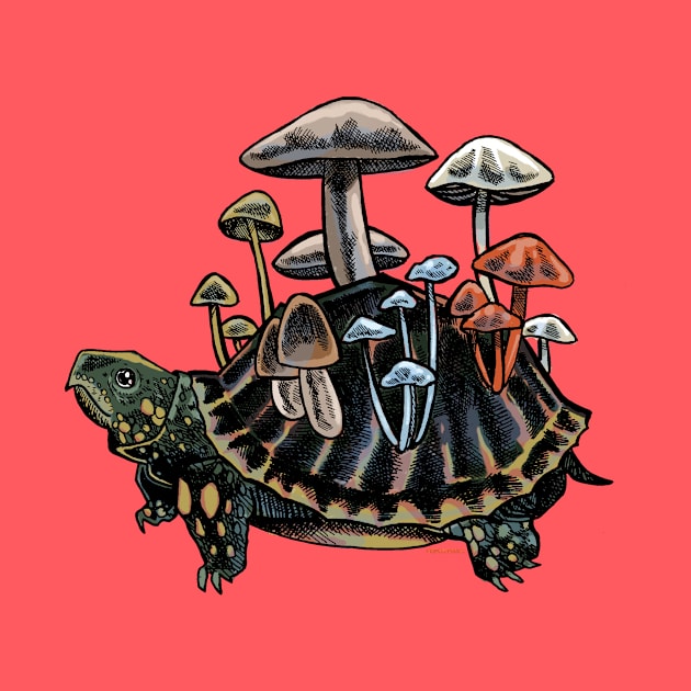 Mushroom Turtle by Penciltucky