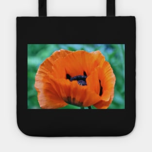 Red Poppy Tote