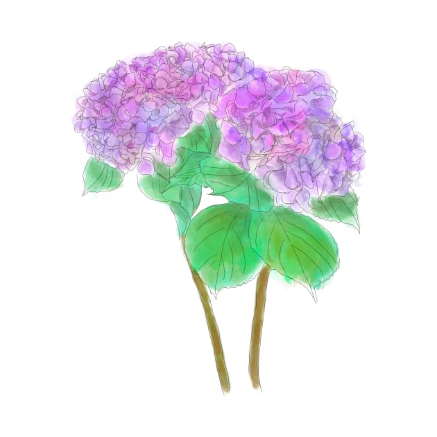 2 purple and pink hydrangeas by colorandcolor