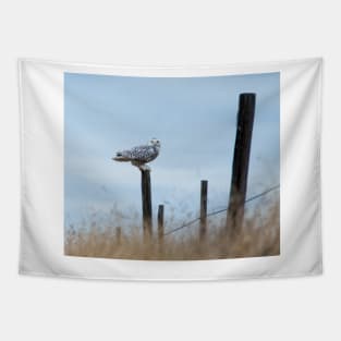 Snowy Owl Tapestry