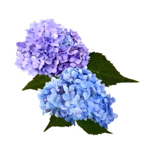 Two Hydrangea Blue and Lavender T-Shirt