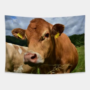 Love Cows Tapestry