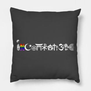 INCOMPATIBLE and cannot "Coexist" Pillow