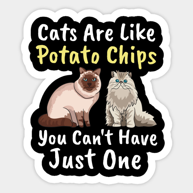 Cats Are Like Potato Chips Shirt Funny Cute Cat Funny Cats Funny