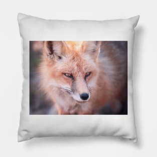 Fox Pillow