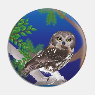 Northern Saw-whet Owl Pin