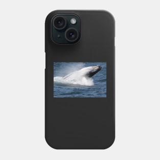 Humpback whale breaching off Eden, NSW Phone Case