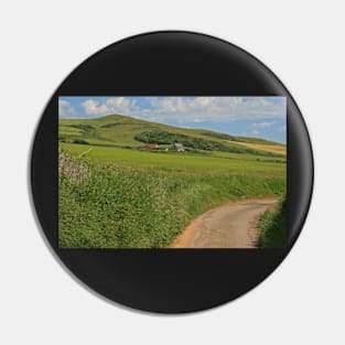 Wears Hill, Abbotsbury Pin