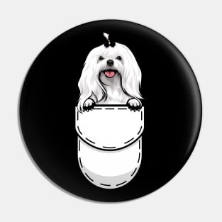 Funny Maltese Pocket Dog Pin