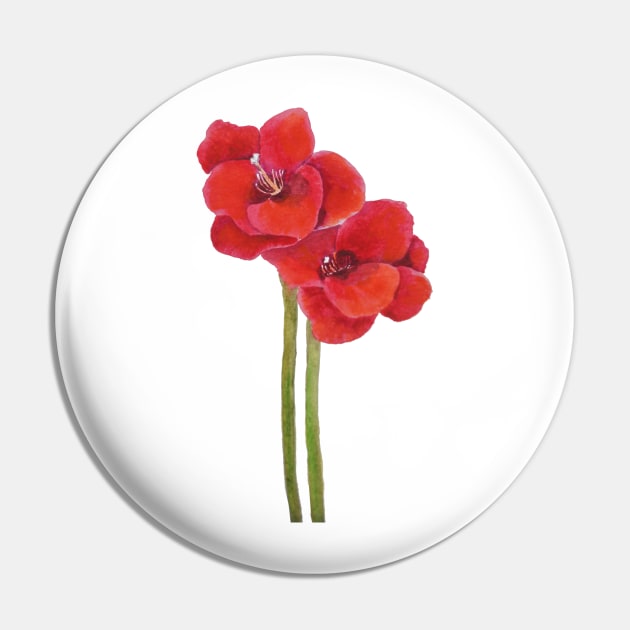 two orange Amaryllis flowers Pin by colorandcolor