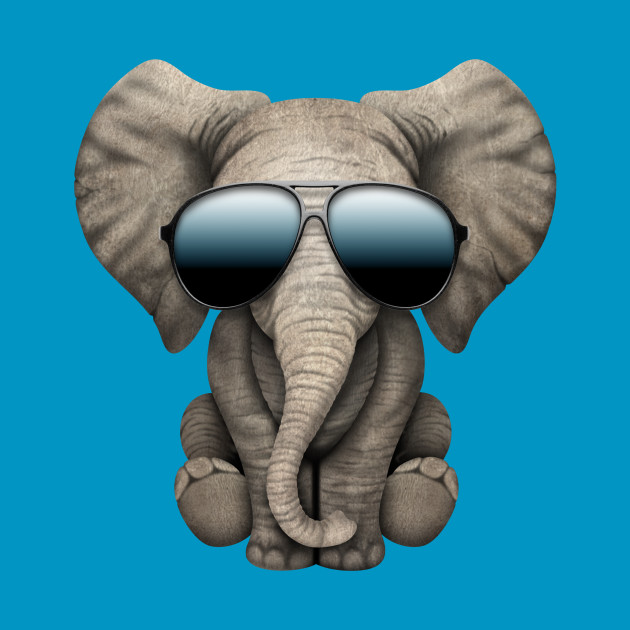 cute baby elephant wearing