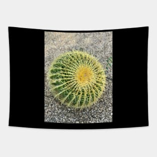 California Desert Golden Barrel Cactus Tapestry