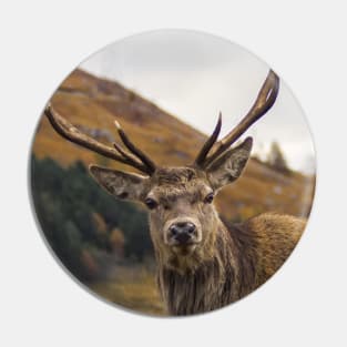 Red Deer Stag with Antlers Pin