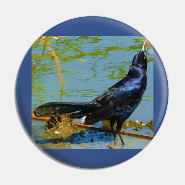 Gobbling grackle Pin by FriendlyComputerHelp