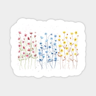 Cosmos flower garden Magnet