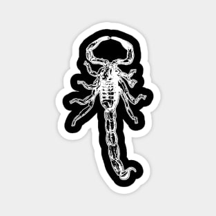 Spooky Scary Scorpion Magnet